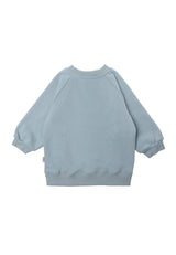 Lässiges Baby Sweatshirt Hellblau mit Dino-Motiv, weiche Baumwollmischung, elastische Bündchen und Druckknöpfe für einfaches An- und Ausziehen.
