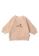 Baby Sweatshirt in Beige mit herbstlichem Dackel-Print, aus 80% Baumwolle und 20% Polyester, weiche Ribbündchen an Ärmeln, Druckknöpfe am Halsausschnitt.