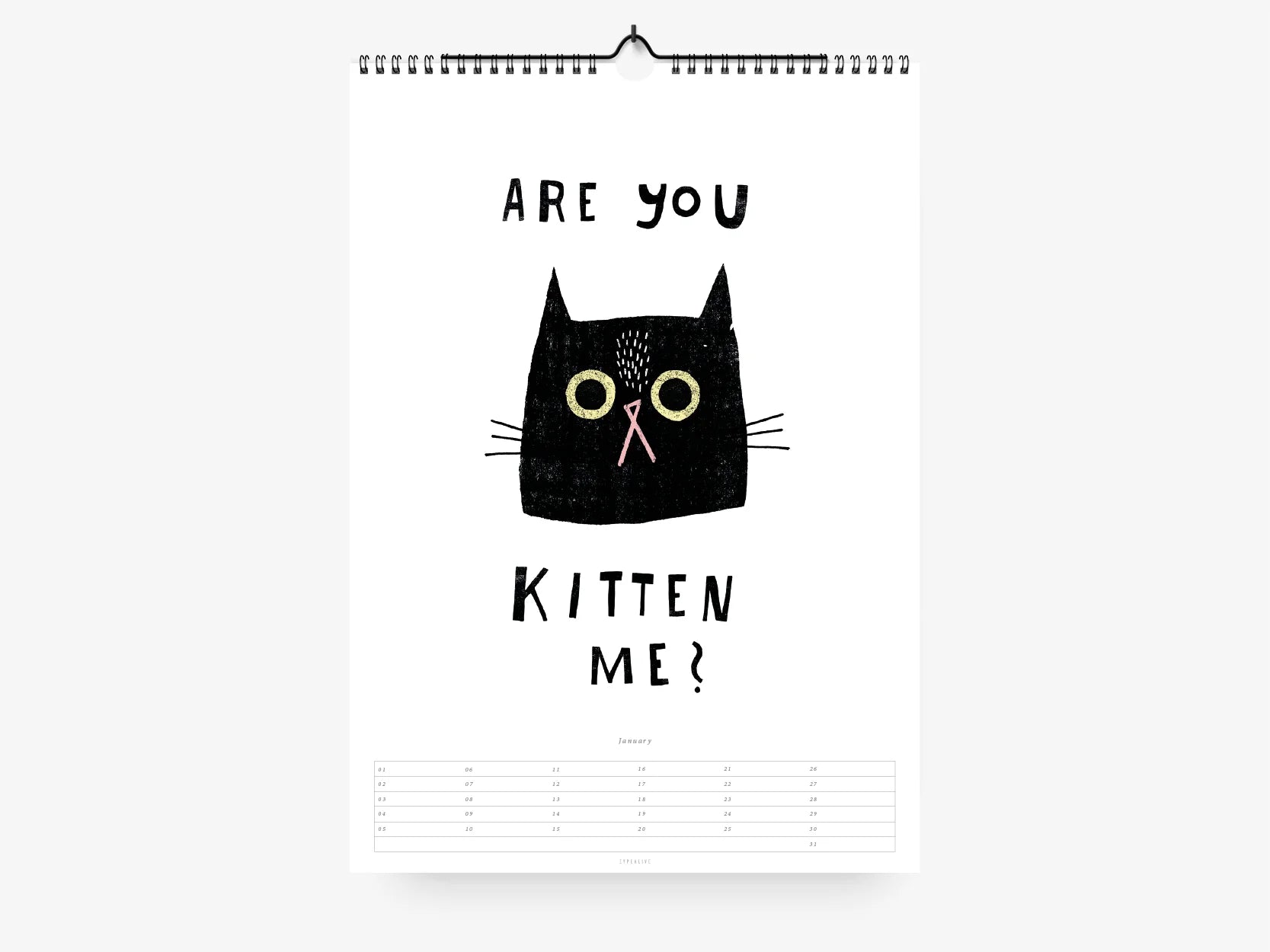 WANDKALENDER - CATISFACTION