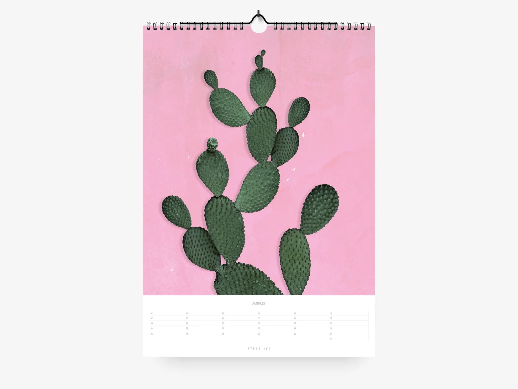 WANDKALENDER - TROPICAL