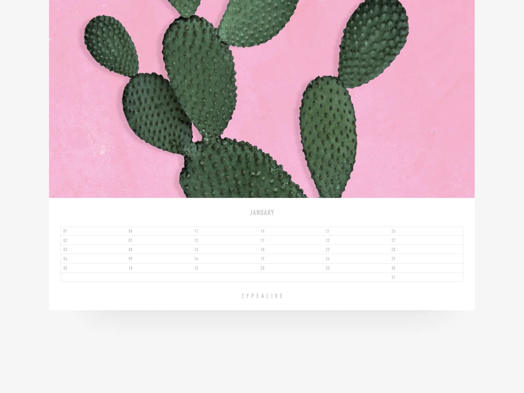 WANDKALENDER - TROPICAL
