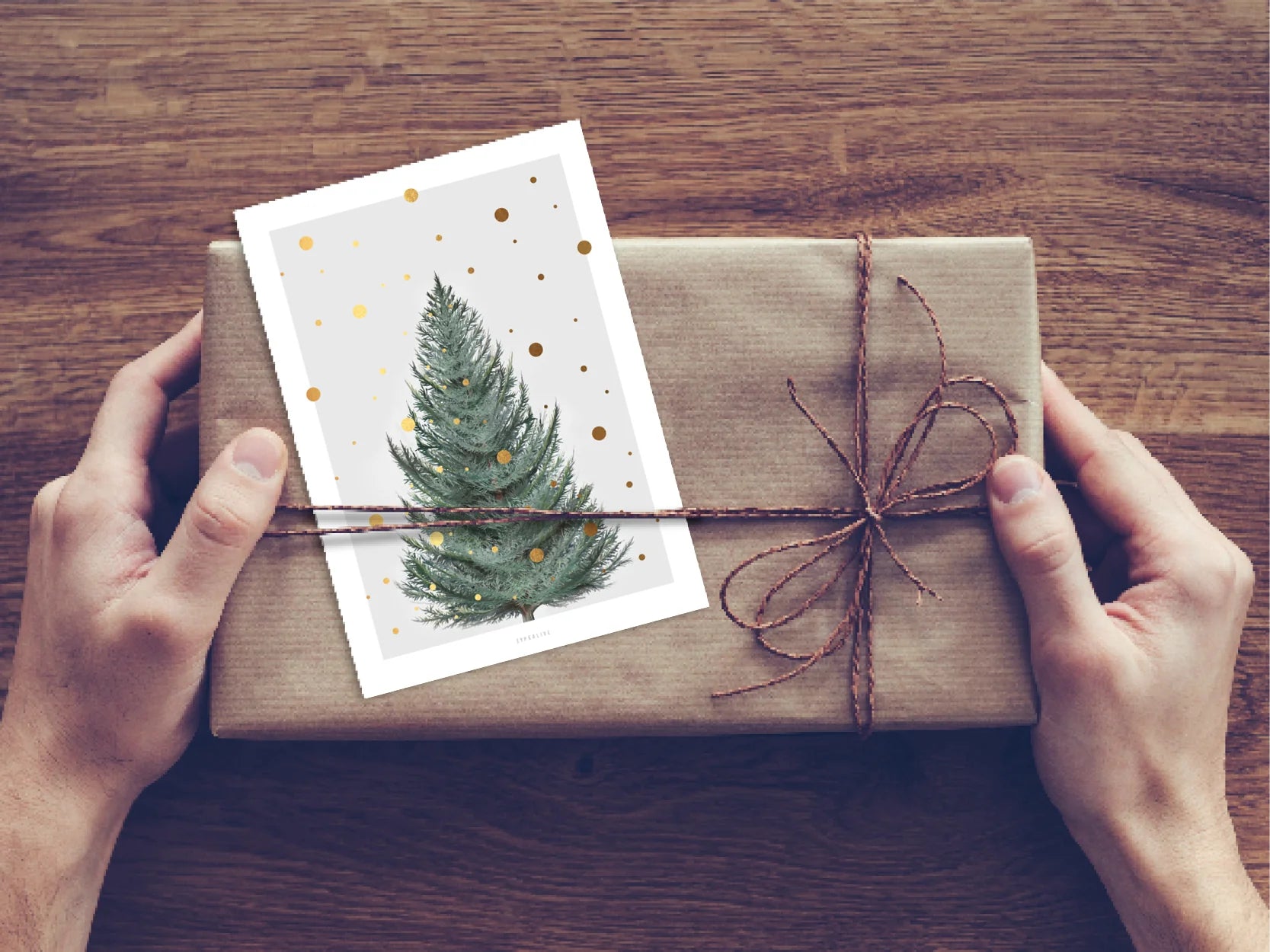 POSTKARTE - TANNE